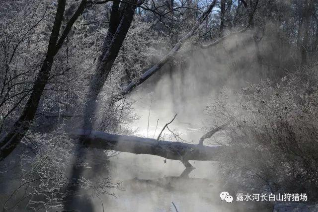 太空弹球大挑战